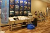 IMG_8555.JPG